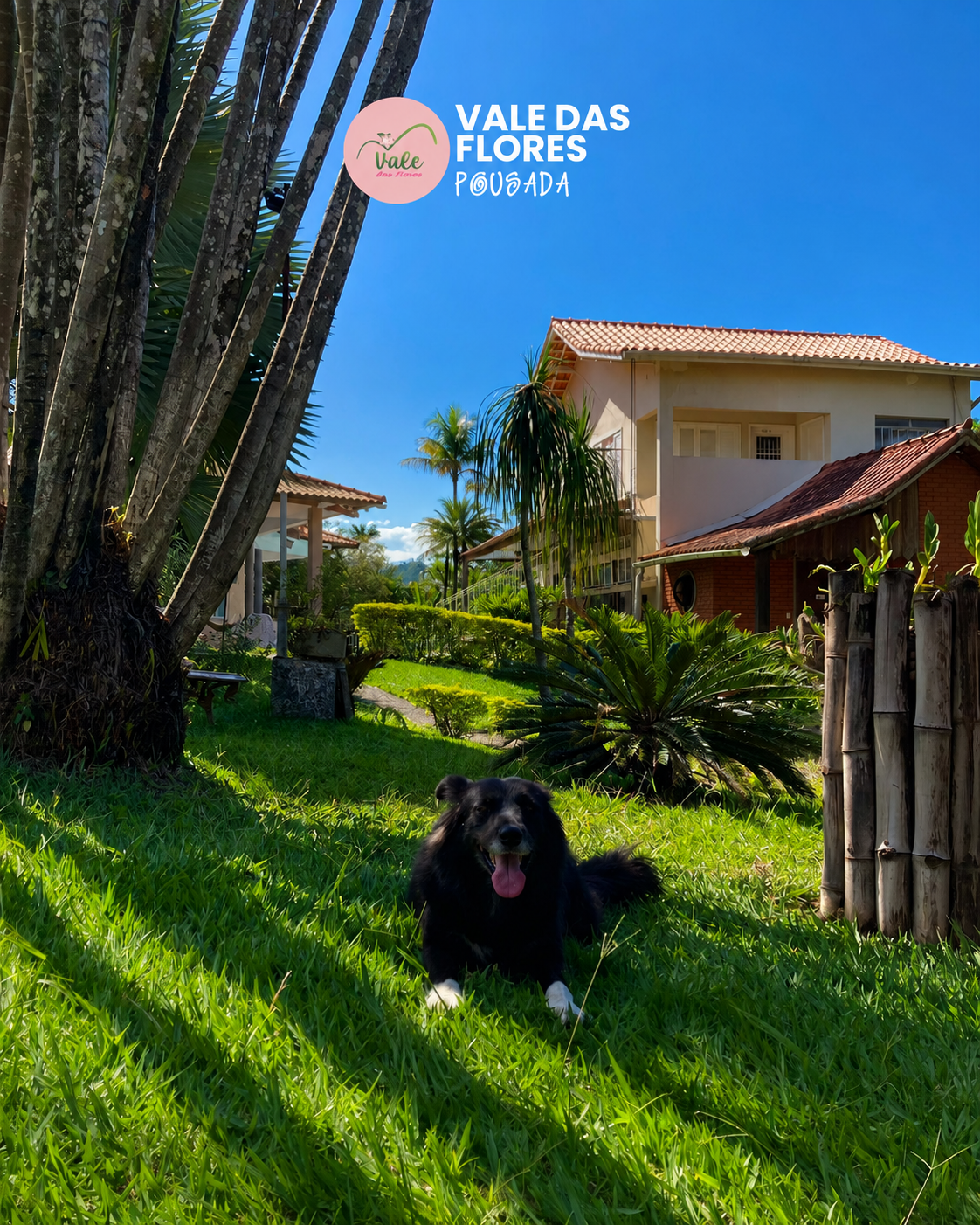 Pousada Vale das Flores em Penedo, RJ